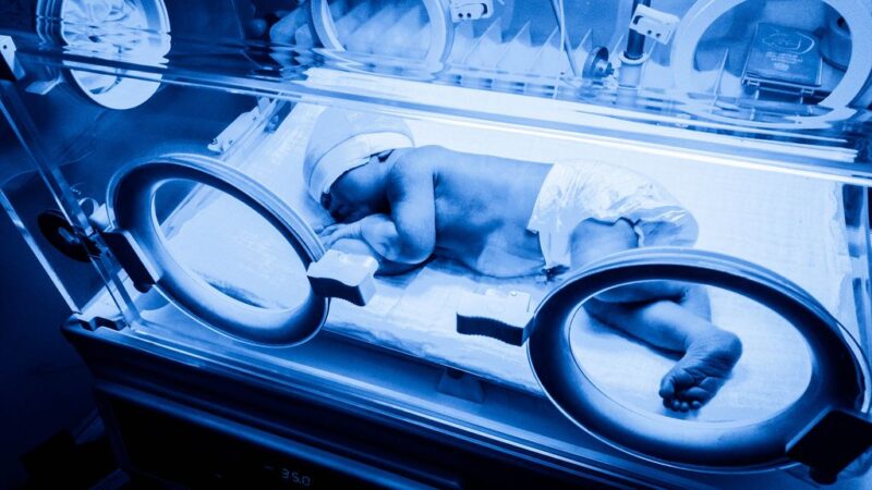 Modern baby incubator